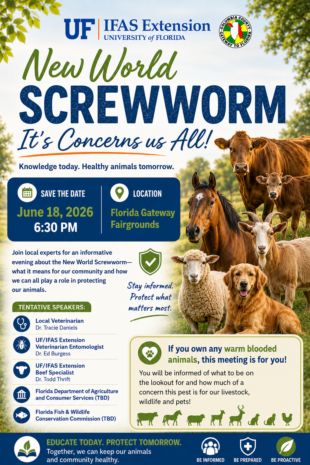 New World Screw Worm Flyer